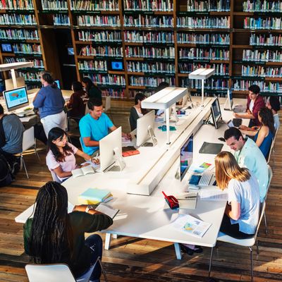 Mehrer Studierende arbeiten an einem langen Tisch in einer Bibliothek.